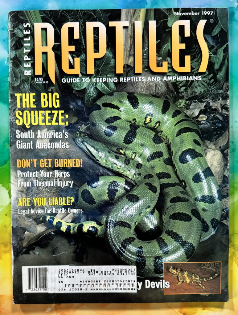 Reptiles Magazine, Fancy Publications Inc. 3 Burroughs, Irvine, CA 92718; Corp Headquarters, 2401 Beverly Blvd. Los Angeles, CA 90057 Editor: Phillip Samuelson, Managing Editor: Russ Case