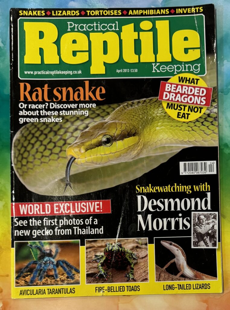 Practical Reptile Keeping, Kelsey Publishing Group Cudham Tithe Barn, Berry's Hill, Cudham, Kent TN163AG. Editor: David Alderton, Distribution: Marketforce, Printed: William Gibbons & Sons Ltd., Willenhall W Midlands.